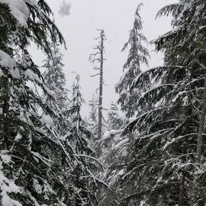 Meet your Posher, Bradd